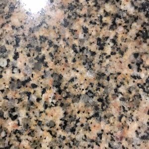 Meet your Posher, Ray